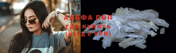 кокс Михайлов