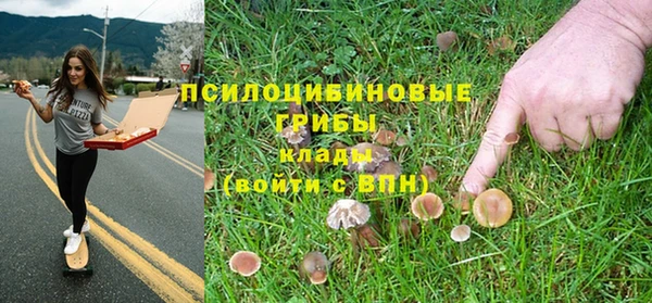 кокс Михайлов