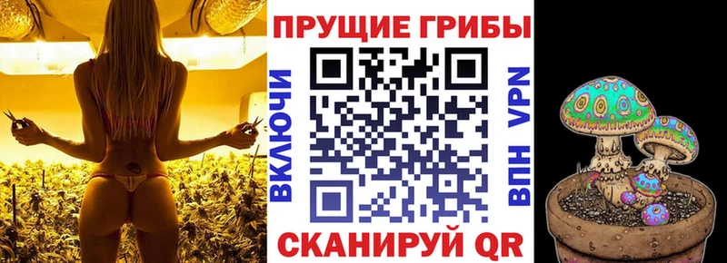 Псилоцибиновые грибы мицелий Ессентуки