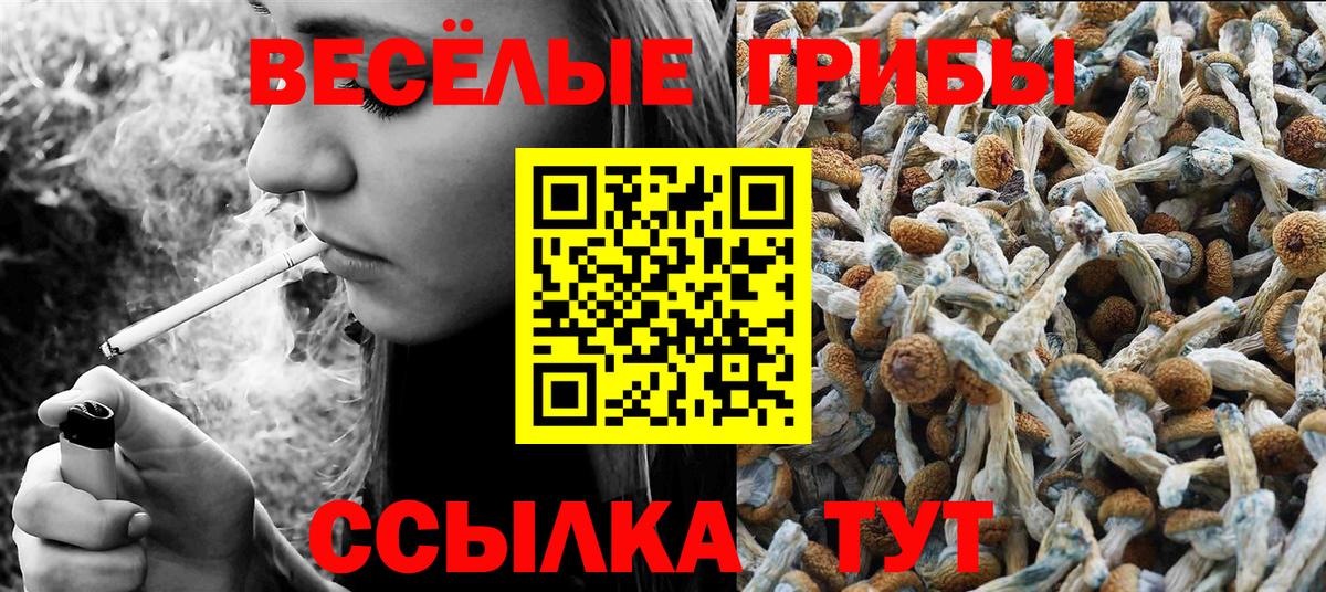 Галлюциногенные грибы MAGIC MUSHROOMS Ессентуки