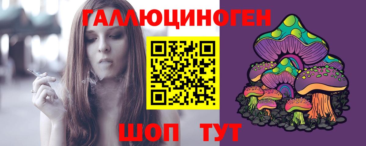 Псилоцибиновые грибы Cubensis Ессентуки